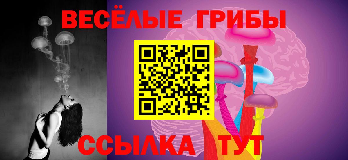 Дзержинский  Галлюциногенные грибы прущие грибы  Вход с VPN 