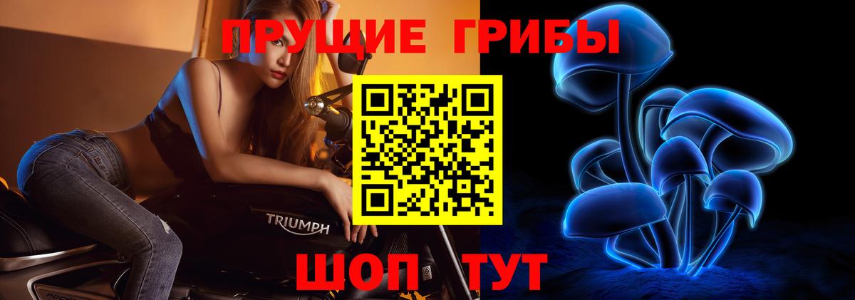 Псилоцибиновые грибы GOLDEN TEACHER Дзержинский
